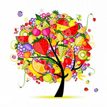 Fruit On The Tree